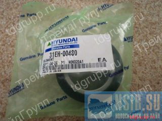 ������ �������������� 31EH-00480 ������ �����