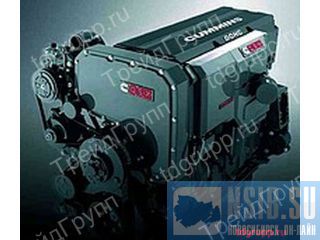    Cummins,   