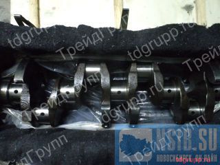  144 ( ) 37-10050113  