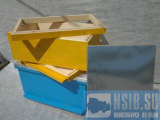 ���� �����������, ���������, ������. ����� ������� �����������