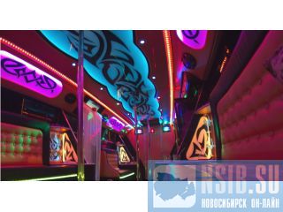 Bus Party   .  .  