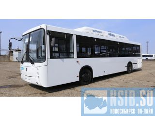   5299-30-31  