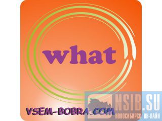   Vsem Bobra -