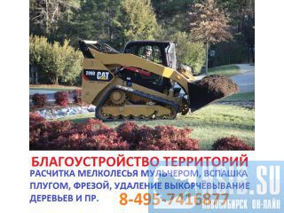     495-7416877 ,     