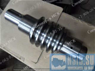  66-02.02.024  -302  