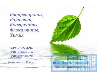  Bacti Bio 9500   , , , ! 8-9999-94-95-00 