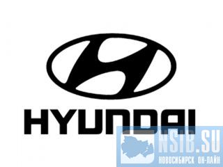    Hyundai D4AL 