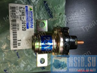 21N6-30120   Hyundai 