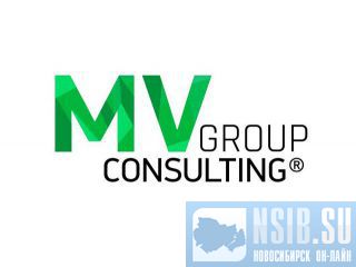  MV Group Consulting           