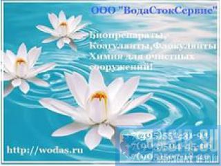  Bacti Bio 9500 (  9500)     