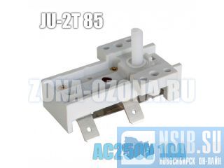     ,  JU-2T85, AC250V, 10A. 