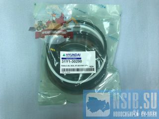  /  31Y1-30290  R300LC-9S 
