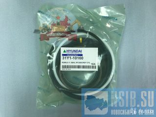  /  31Y1-10160  R250LC-7 