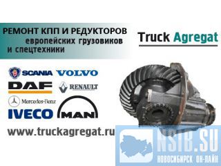   MAN DAF Scania Iveco Renault Mercedes 