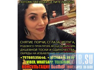   ,  +79788535646 