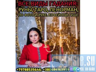   +79788535646 
