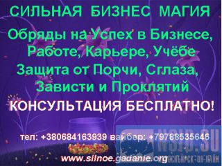   +79788535646 
