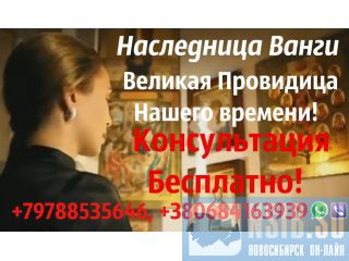   +79788535646 