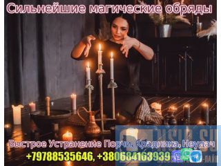    +79788535646 