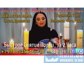    +79788535646 