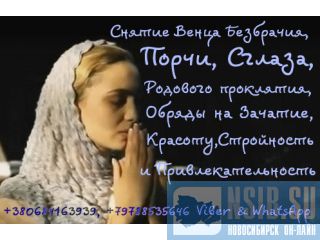    +79788535646 