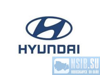  (31N5-10010 , 31N5-10011 )  Hyundai R180LC7  