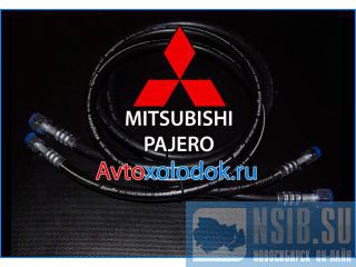    Mitsubishi Pajero (  4 ) 