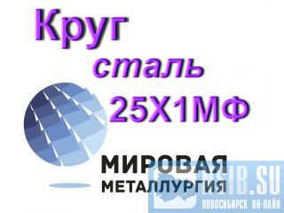   251 
