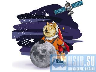 Doge-1 Launch:    Space-X  .  -