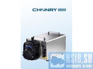    Chonry BG600FJ-S  