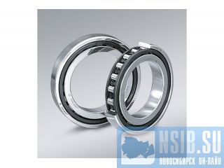    NSK N1011BTCCG5P4 