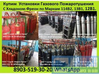  e-e oe cao ao opoe  Xoo 1142, 131, 121, 113,  