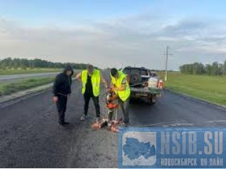 ������ ��������� ������������� ����� �� ������������ �����������