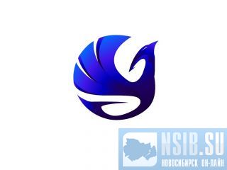 ������ ������� ���� ����� �����������