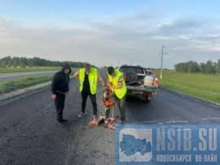 ������ ��������� ������������� ����� �� ������������ �����������