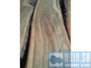 ���� ���� �������� ���� ��� ������������ ������   �����������