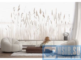 ������������ ��������� ������, ������������ ����� � ����� �����������