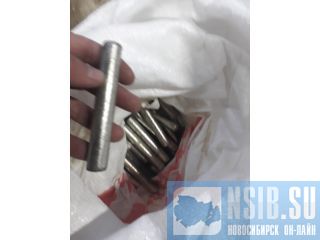 ����� ����� (�������) ��� �����������