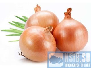 ������ ����� � ������ ����� � � ������� � �������� �� ���������� � �����! ����