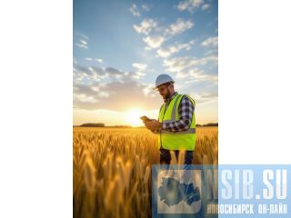 ������������������ ���������� � ������������ �����������