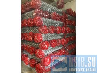 ����� ������ ������ ���������