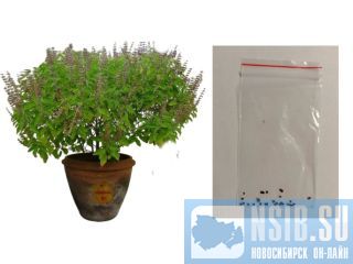 ������ ������, � ��������, ��� ����������� ����. ������