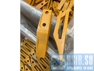 ����� � �������� ������ ������������-����������� �����������