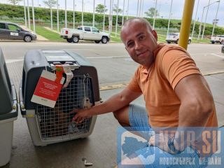 ��������� �������� � ������� � ������ �����������