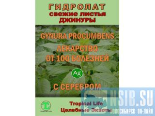 ��������� � �������������� ������ ProGynuru � ���� ����������� �������� ��� �������� � ������� �����������