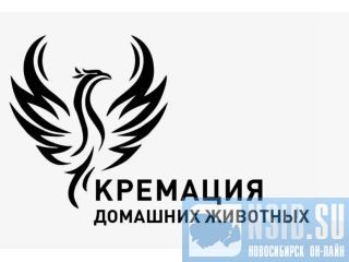 �������� �������� 24/7 �����������, ������, 225