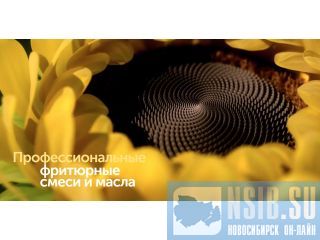 SolPro - ������������ ���� � ��������� ��� ������������� �������������� �����������