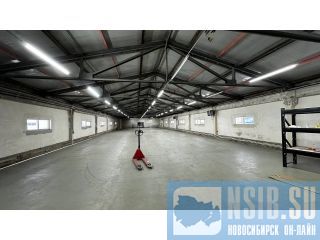 ���������������� ��������� � ������. ����������� �����������