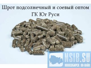 ���� ������������ � ������ ����� - �� �� ���� �����������