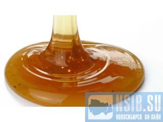 ������� ������������ ����� �� ������ �� ���� �����������